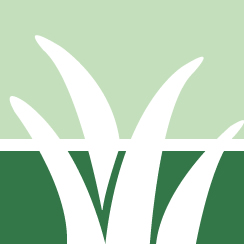 Fall Lawn Nourishment Pros