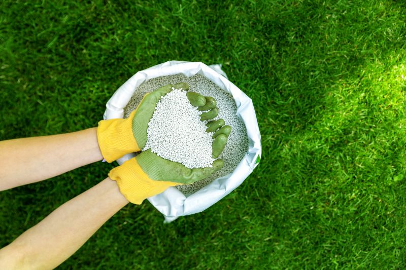 Fall Lawn Nourishment