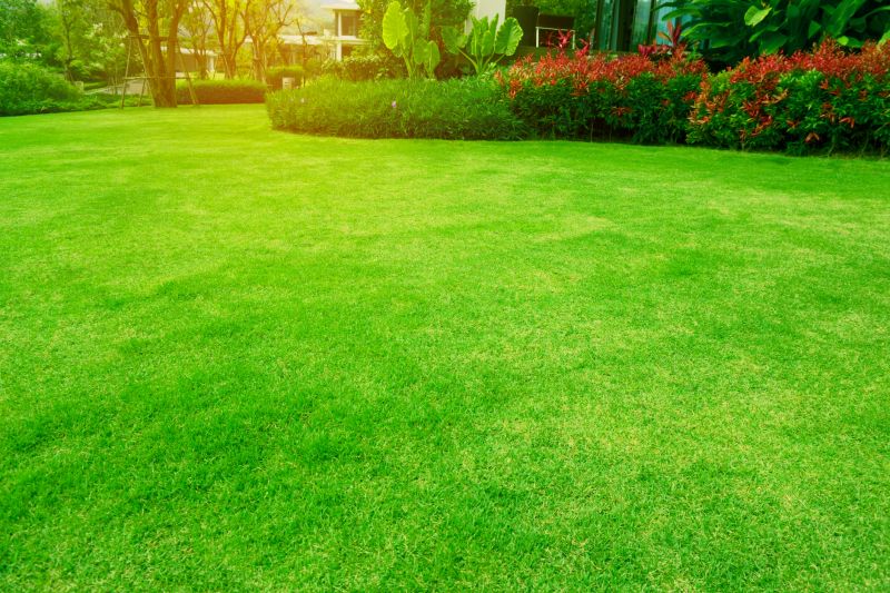 Seasonal Lawn Health