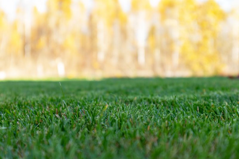 Products For Fall Lawn Nourishments in use