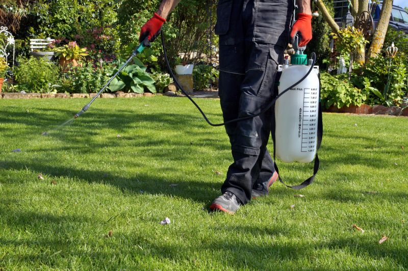 Spring Lawn Treatment in Ventura County, CA