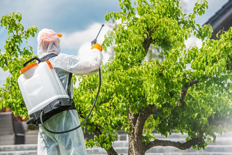Weed Control Service in Rockwall, TX